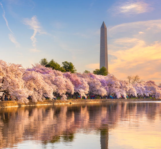 Washington DC tour New York Tours