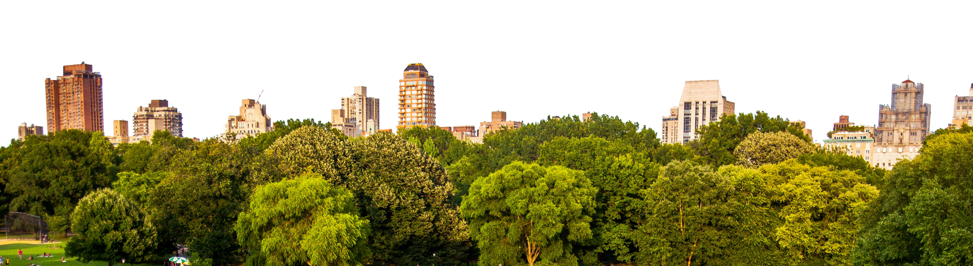 Big Apple Experience