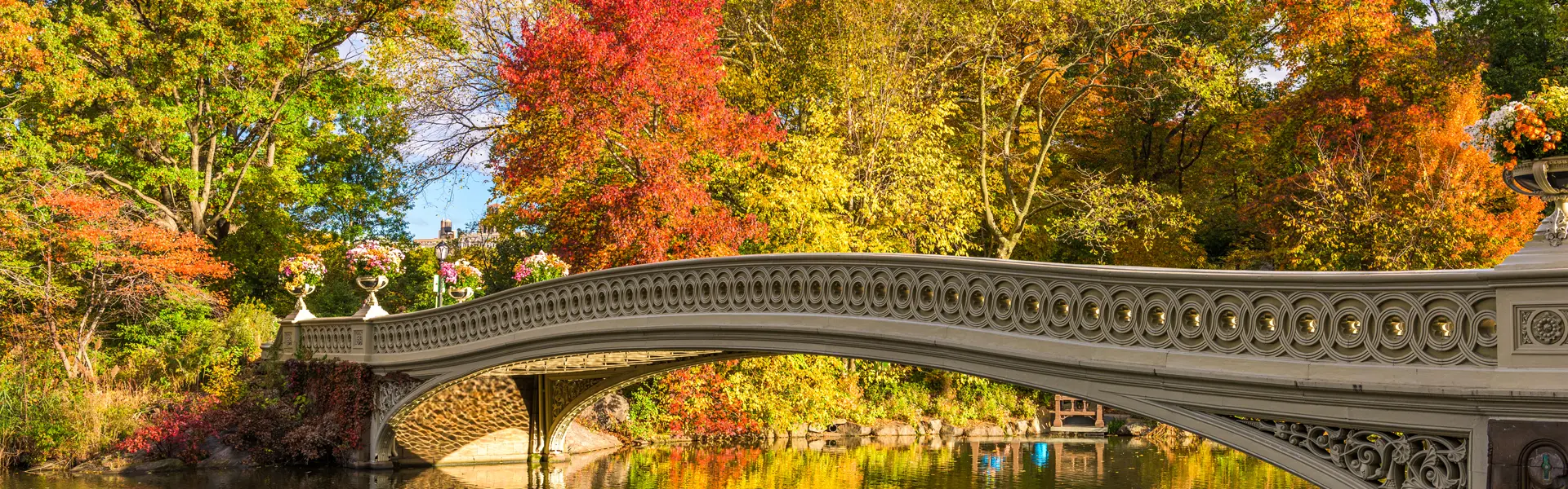 centralpark about2 About Us