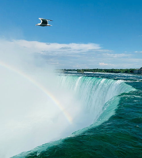 Niagara Falls from New York