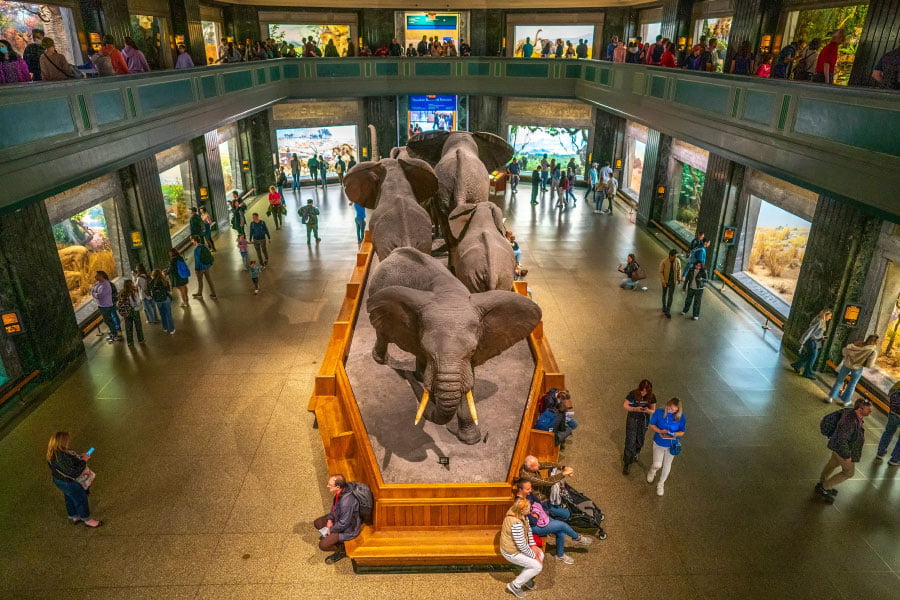 luxurysep2 natural 1 Best Museums in New York