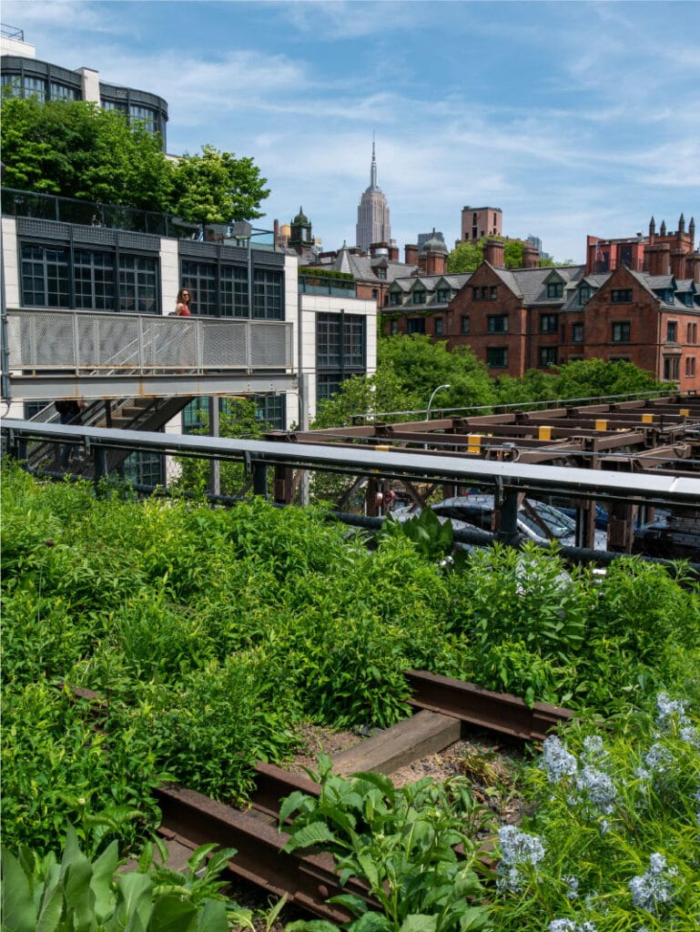 Free Activities in New York