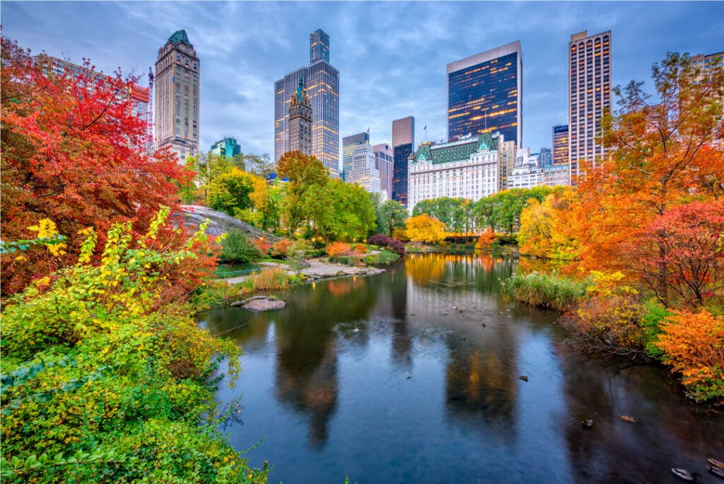 New York in October, Central Park Autumn